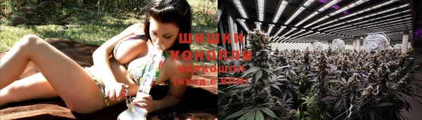 Альфа ПВП Осинники